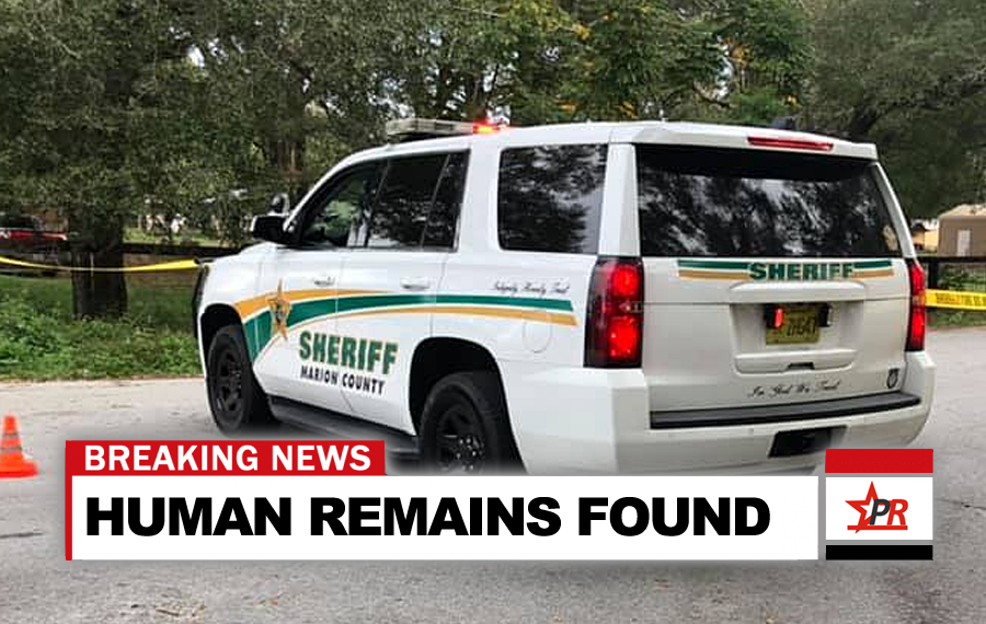 HUMAN REMAINS FOUND