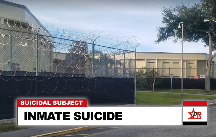 INMATE SUICIDE