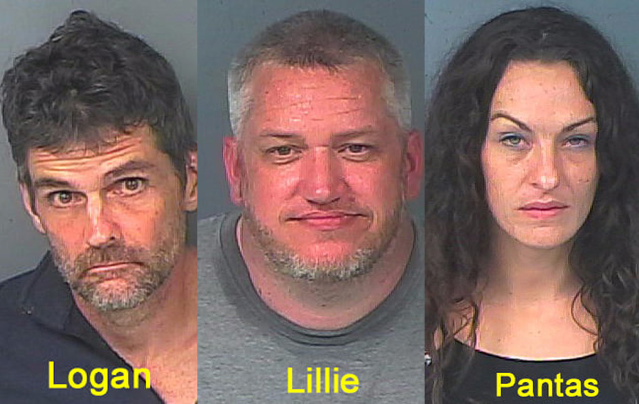 Adam Logan 46, Tara Pantas, 35, and Christopher Lillie, 39, were each charged with Grand Theft - More than $20,000, but less than $100,000. Additionally, Logan was charged with Possession of Fentanyl. All three were transported to the Hernando County Detention Center where Lillie and Pantas are being held in lieu of a $5,000 each. Logan is being held on a $7,000 bond.