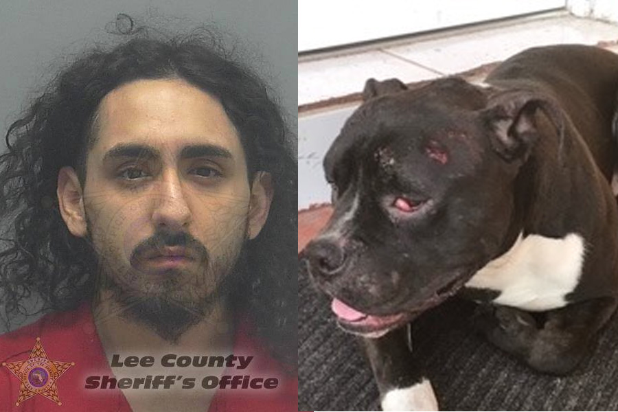 Ivan Garcia , 20, was booked at the Lee County Jail faces a felony charge for aggravated animal cruelty. When deputies arrived they noticed Kano, a black Pitbull, displayed evidence indicating the dog had been severely beaten.