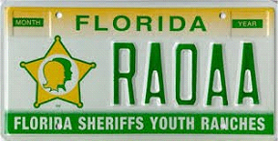 Flagler County Sheriff Rick Staly Elected Board Chairman of the Florida ...