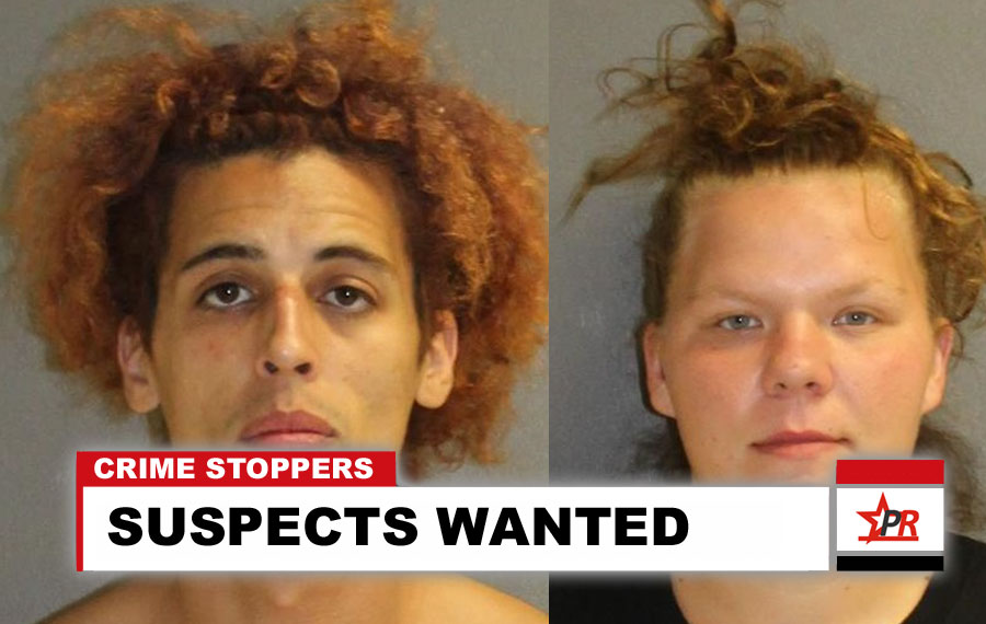 SUSPECTS WANTED