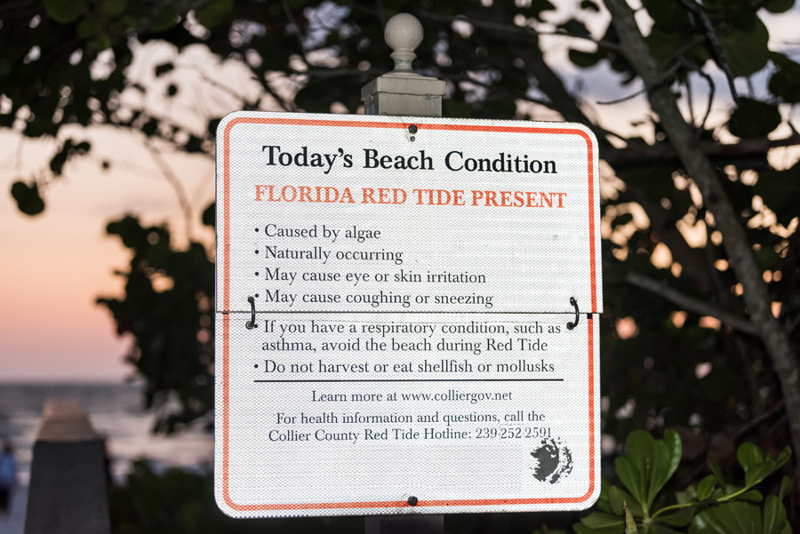 The Florida Dept. of Environmental Protection is partnering with Tampa Bay area governments and the Tampa Bay Estuary Program to monitor water quality at locations affected by the Piney Point breach. 