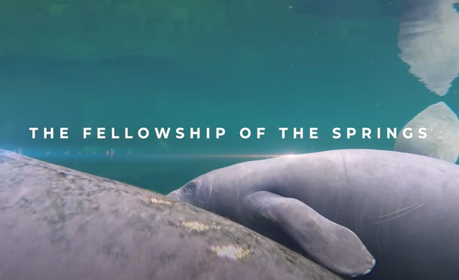 The Fellowship of the Springs is a two-part, two hour documentary series by director/producer Oscar Corral and Explica Media. The two episodes of the film take viewers into the wonder and beauty of Florida's unique but troubled springs.