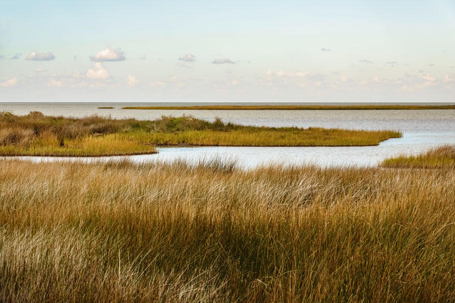 Million-Acre Southeast Salt Marsh Conservation Plan Gets Green Light