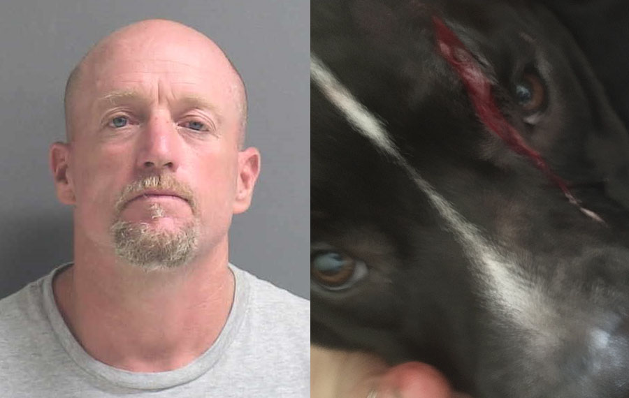 According to authorities, Richard K. Nelson, 46, was arrested Friday on a felony charge of animal cruelty after he used a machete to slash a dog several times. He was additionally charged with providing false information to a law enforcement officer after video surveillance disproved his claim that he was defending himself.