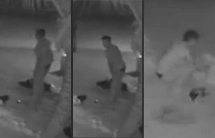 Upon arrival deputies learned that early that morning, what appears to be an unknown male began disconnecting the extension cords and then walking away with most of the Christmas display. Anyone who can identify this male is urged to contact Palm Beach County Crime Stoppers at 1-800-458-TIPS.