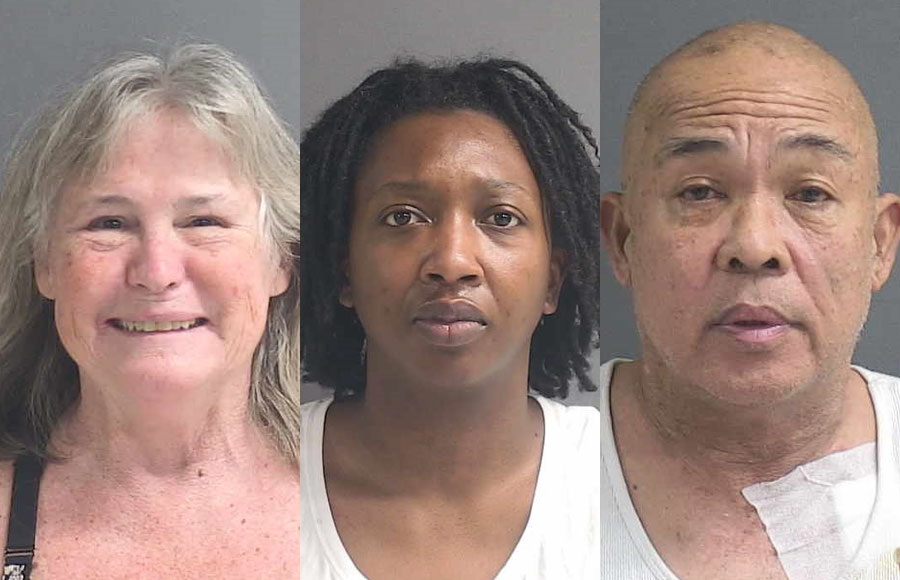 After a four-month investigation, Bernadette Poorman, 61, of Daytona Beach, 33-year-old Adrienne Hyche of Tuscaloosa, Ala., and 60-year-old Richard Pira  of San Francisco have been arrested in connection to the theft of hundreds of thousands of dollars wired from a local title company to accounts across the country and the world, resulting in the first-ever cryptocurrency seizure by the Volusia Sheriff’s Office.