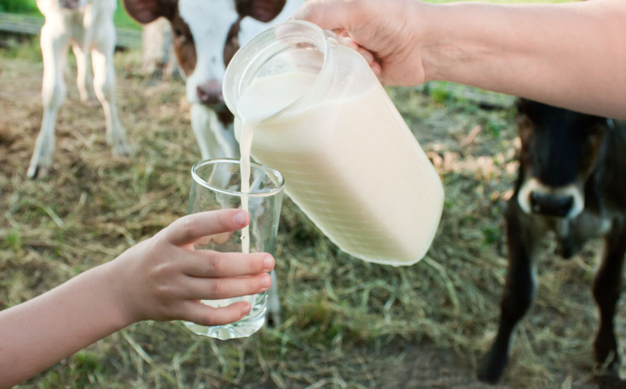 Milk is Now Racist