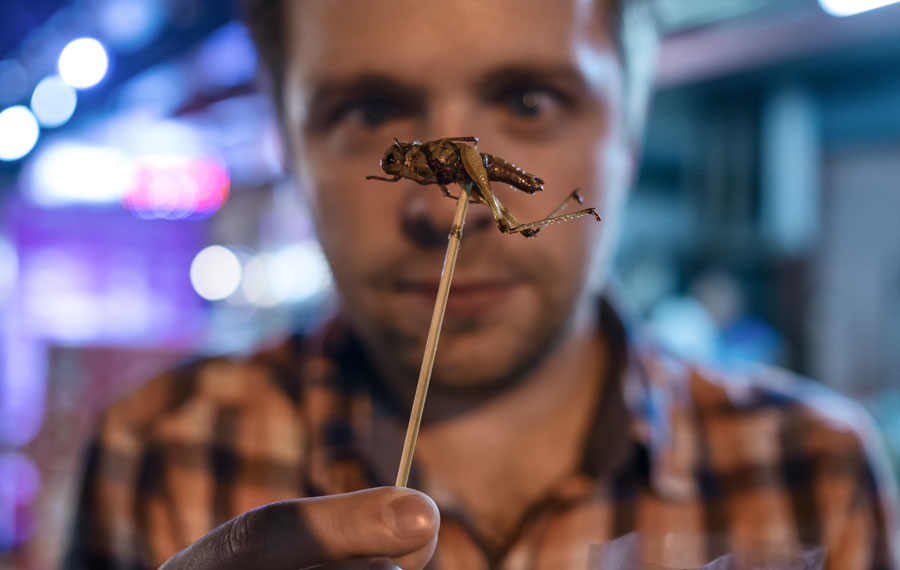 Why Europeans May Soon Begin Eating More Insects