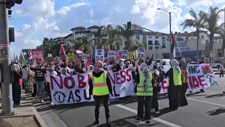 black-friday-protesters-advocate-palestinian-uprising-amidst-shopping-chaos
