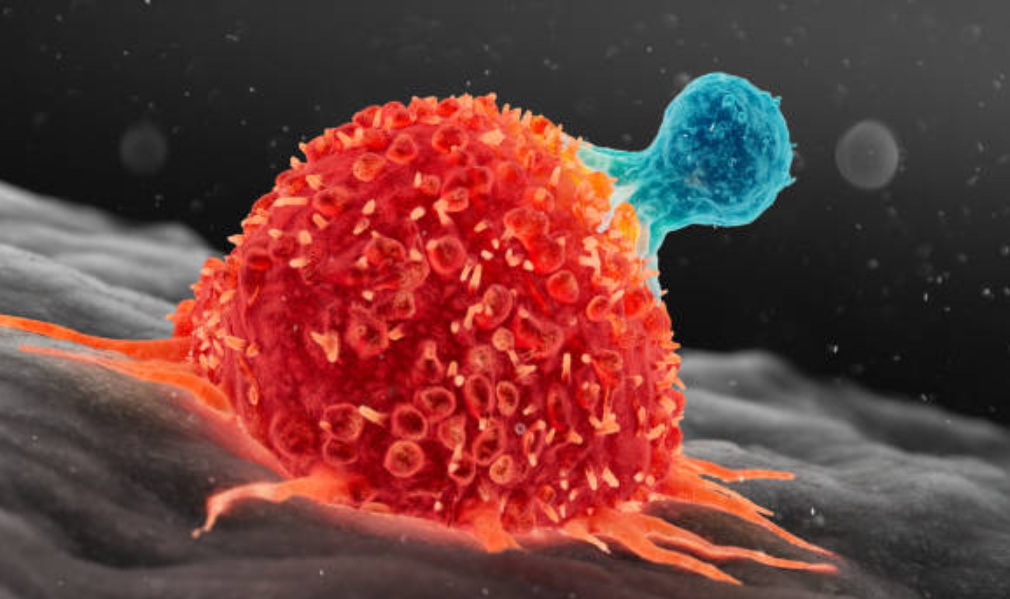 cancer-cells-destroyed-vibrating-molecules-achieve-99%-destruction-in-lab-study