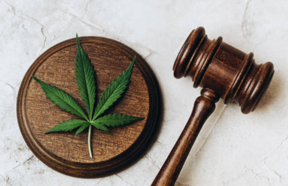 cannabis-integration-california's-2024-employment-laws-redefine-sick-leave-standards