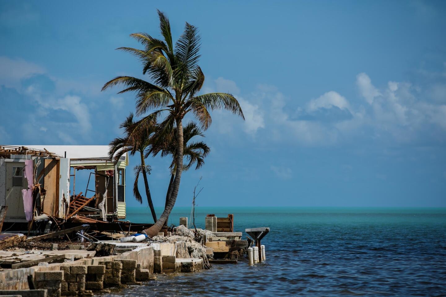 Storm Chaos: Western Palm Beach Faces Severe Wind Damage