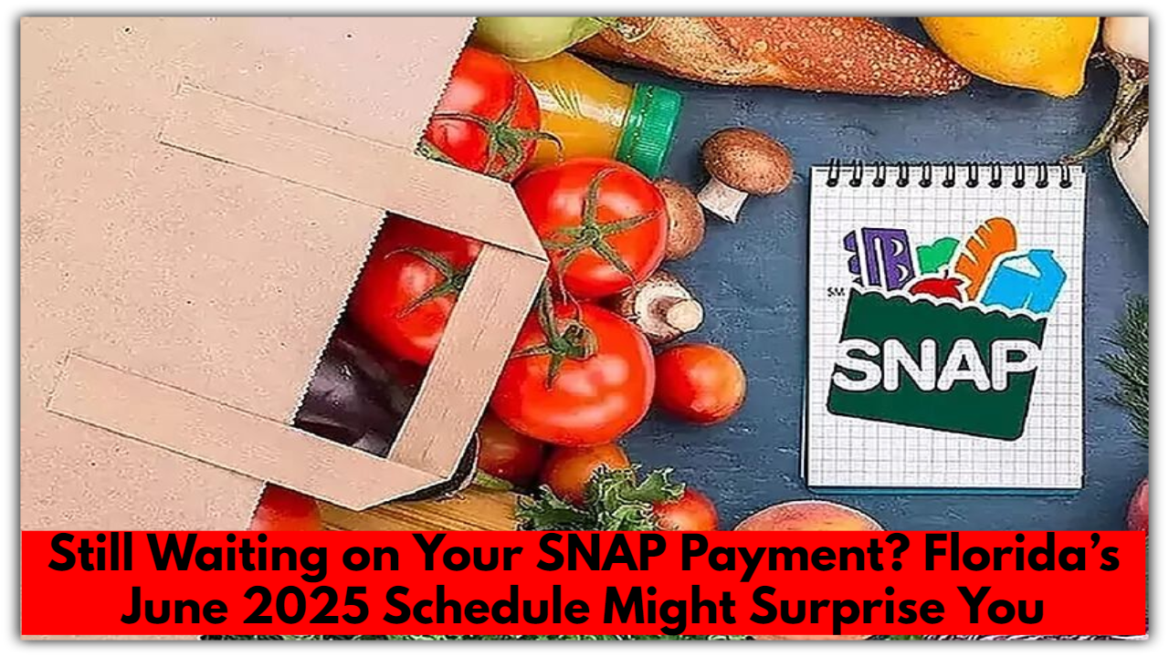 Still Waiting on Your SNAP Payment? Florida’s June 2025 Schedule Might Surprise You