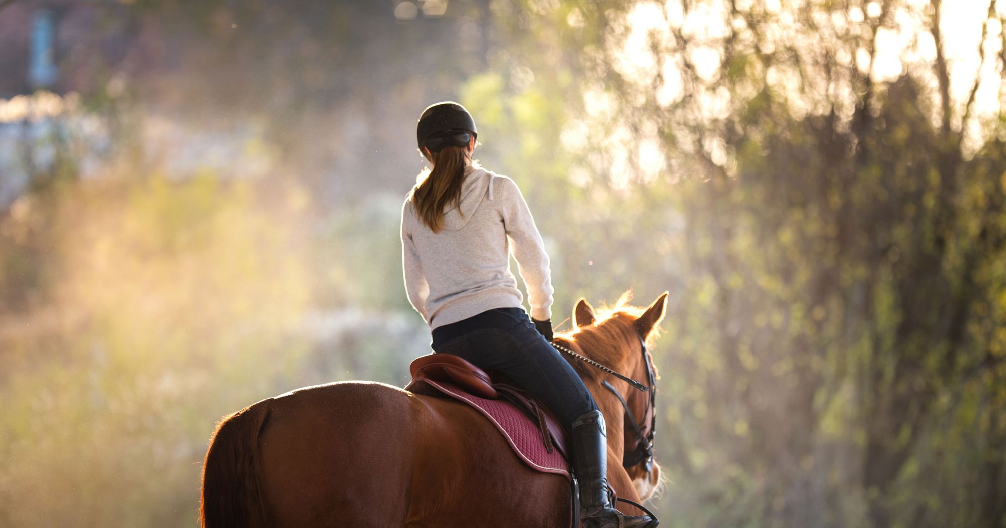 Lake Pickett Estates (32820) BIZARRE TWIST: Florida Woman Blames Horse for Mom’s Murder — CONVICTED, SENTENCING IMMINENT