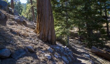 @TrailWatchLA – Photo taken 9:38 AM at Angeles Crest Trail marker 46