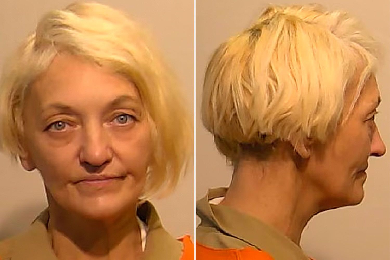 Delta Airlines Stowaway Rants That She Was Poisoned, Needed to Flee U.S. as She's Sentenced to Time Served