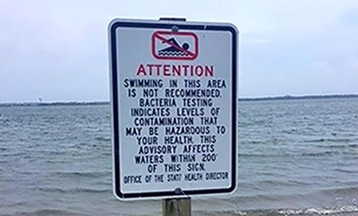 Credit: @OuterBanksLife