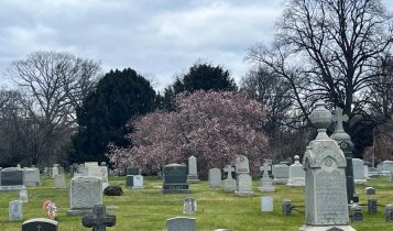 @IndyWitness – Taken at 8:10 PM near Greenwood Cemetery parking lot