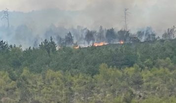@PAWitness – Taken at 6:40 PM near Valley Road fire pit