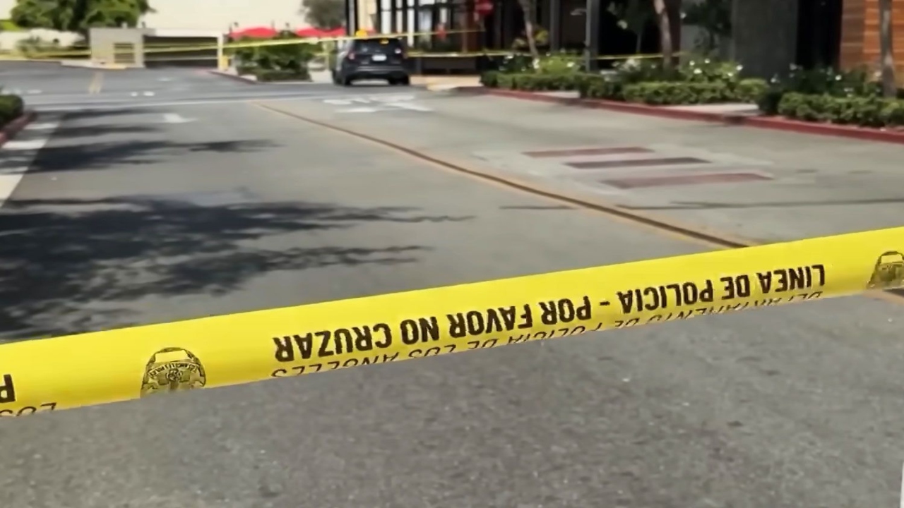 California Mall (95128) Horror: Mom Stabbed While Rescuing Toddler From Alleged Abduction – LIVE UPDATES