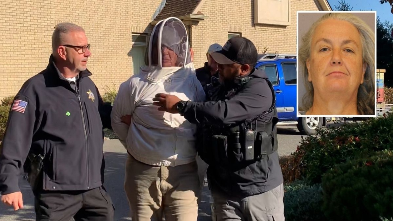 'Oh, you're allergic? Good': Woman unleashed beehives on deputies and bystanders: Cops