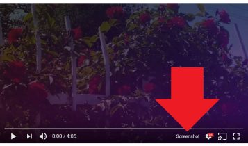@CrimeWatchUser – Screen capture from 2:05 PM upload