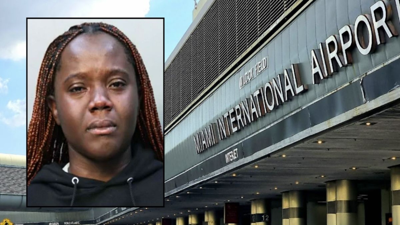 Shocking Incident: Woman Attempts to Take Child at Dallas Airport (75261) – POLICE ALERT