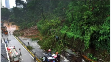 @LocalResident — Taken at 8:00 AM near Malabar Road