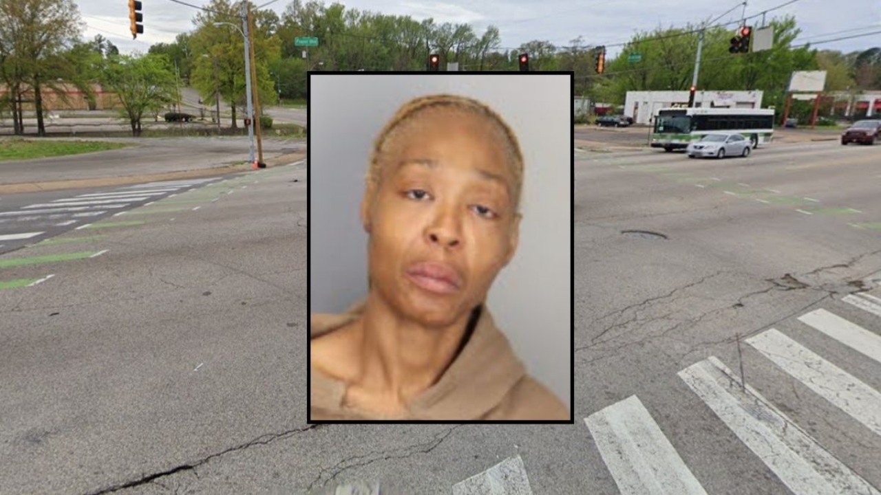 Disturbing Abduction: Woman Kidnaps Father and 2 Children in Riverview - LIVE UPDATES